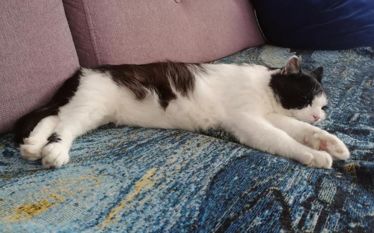 Zbiórka Walczymy o zdrowie Buby - zdjęcie główne