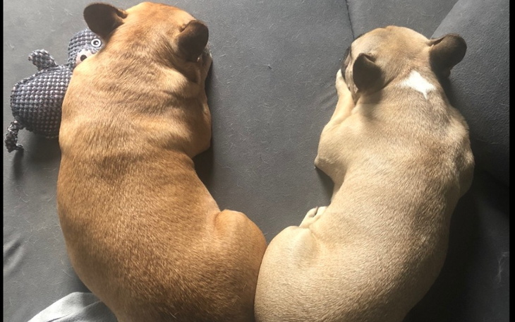 Zbiórka Na nową, własną drogę życia - zdjęcie główne