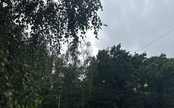 Zielone drzewa i chmury na niebie.