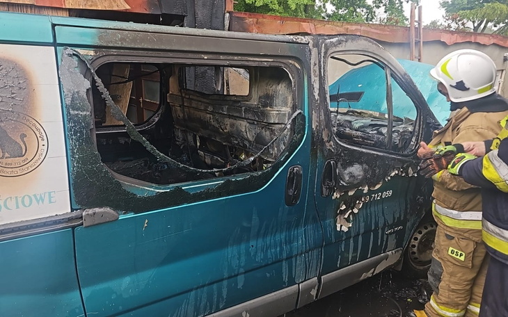 Miska z kością: wizerunek kota w klatce transportowej.