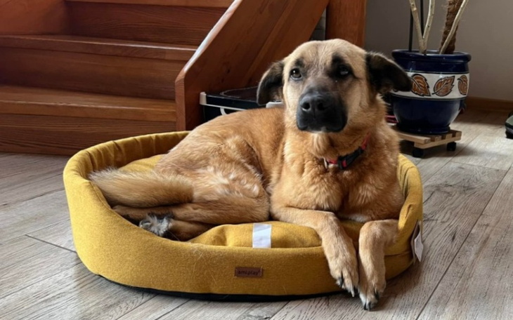 Zbiórka Lenka zbiera na Korabki X 2023 - zdjęcie główne