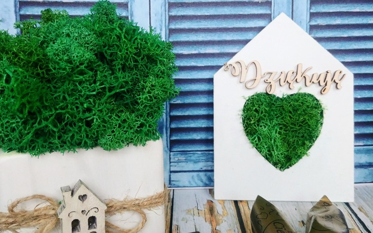 Zbiórka Niestety Nieaktualne - zdjęcie główne