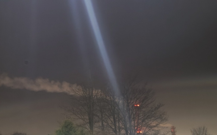 Promienie światła padające na drzewa w nocy.