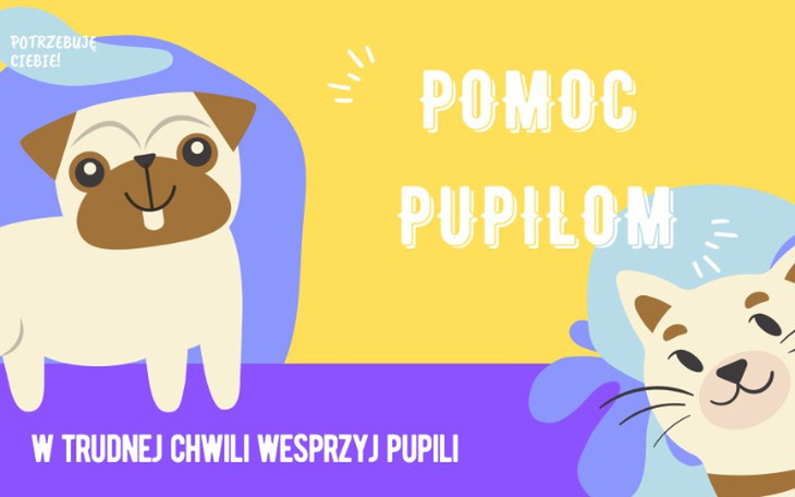 Zbiórka Pomoc pupilom - zdjęcie główne