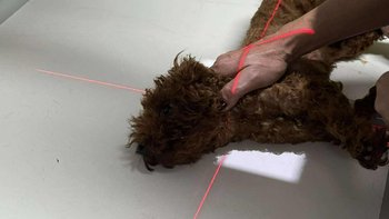 Zbiórka Pozwólmy Wiki stanąć na nogi - miniaturka zdjęcia