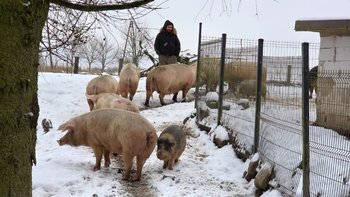 Zbiórka Przeżyć kolejną zimę - miniaturka zdjęcia