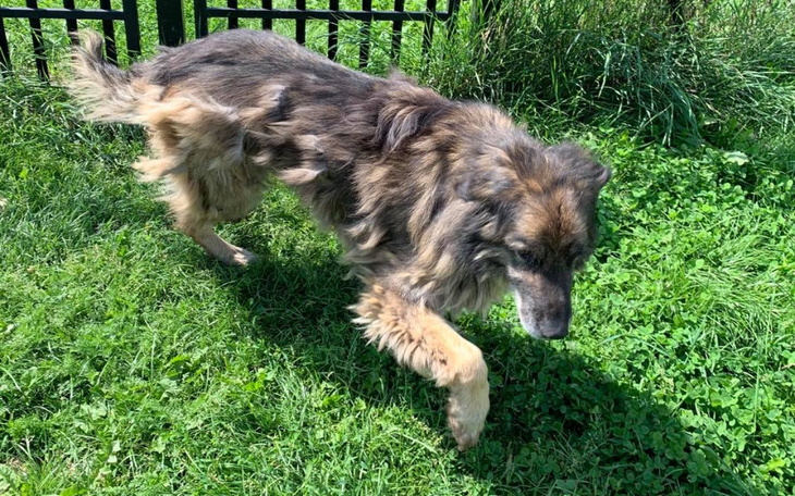 Zbiórka Leon, Nero, Elbi wrzesień opłaty - zdjęcie główne