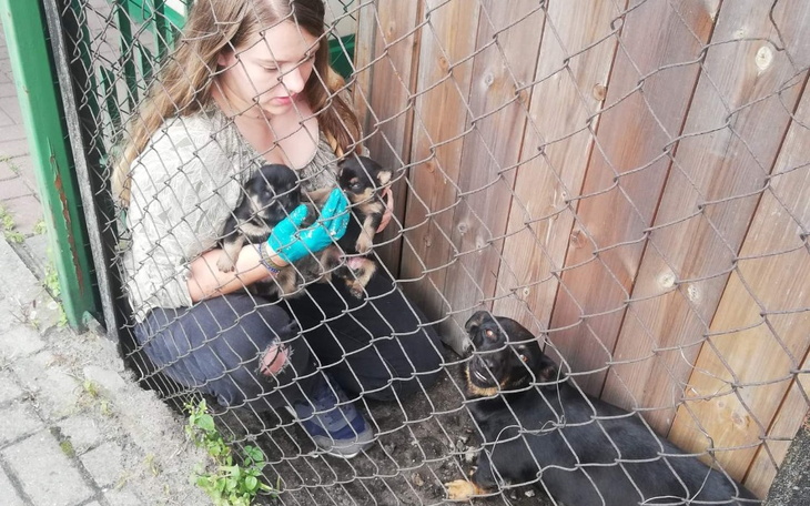 Zbiórka Wychudzona mama i jej dzieci - zdjęcie główne
