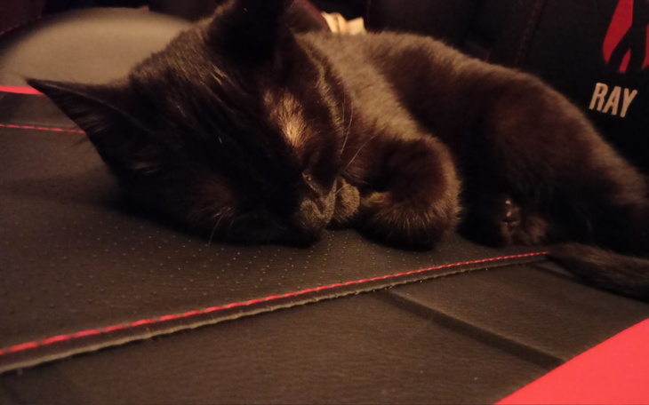 Zbiórka Własne cztery ściany. - zdjęcie główne