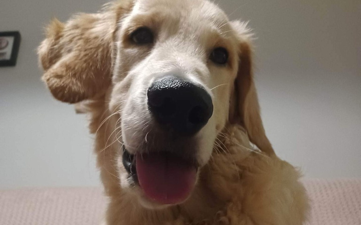 Zbiórka Operacja Karmelka. - zdjęcie główne