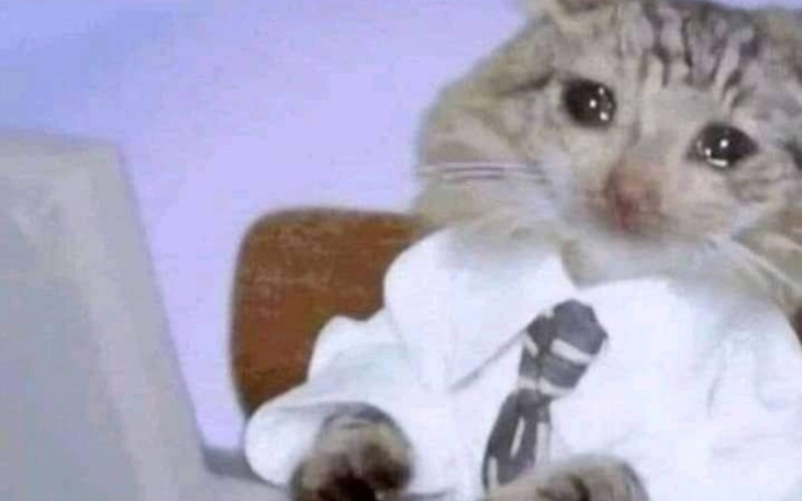 Zbiórka Jestem nikim, chcę komputer... - zdjęcie główne