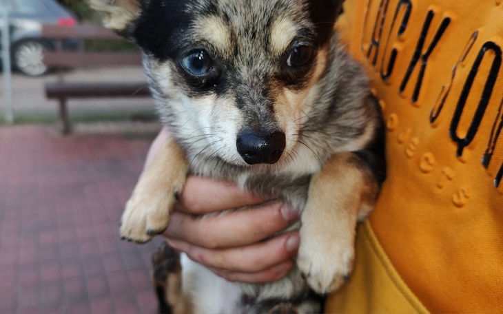 Zbiórka Zbiórka 12 - zdjęcie główne