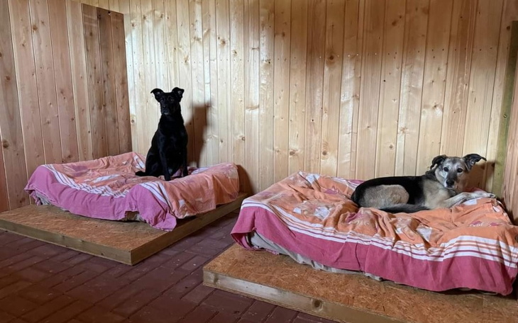 Zbiórka Droga do bezpiecznej przystani - zdjęcie główne