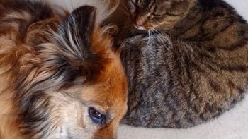 Zbiórka Zadbajmy o nie razem. - miniaturka zdjęcia