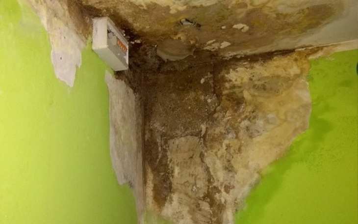 Zbiórka Na remont mieszkania z grzybem - zdjęcie główne