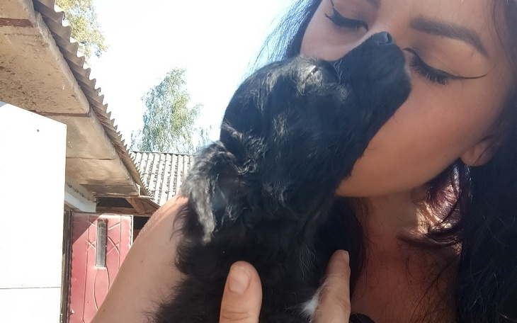 Zbiórka Malowanie kojcy - zdjęcie główne