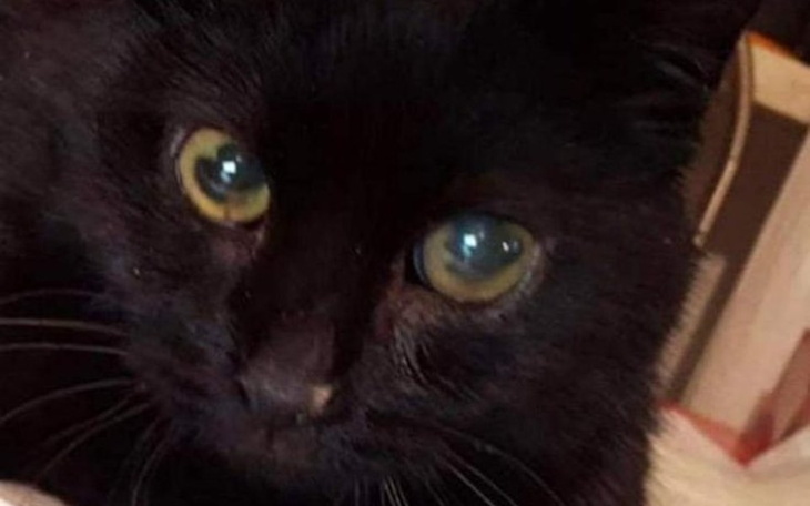 Zbiórka Na leczenie Batmana - zdjęcie główne