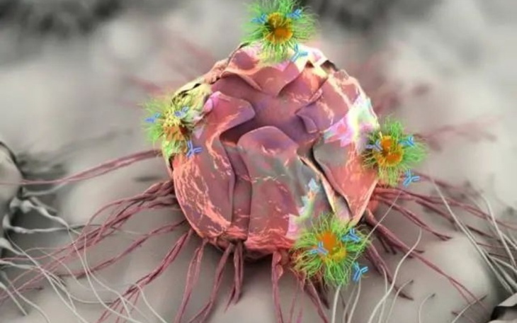 Zbiórka Terapia onkologiczna - zdjęcie główne