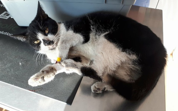 Zbiórka Padaczka to nie wyrok! - zdjęcie główne