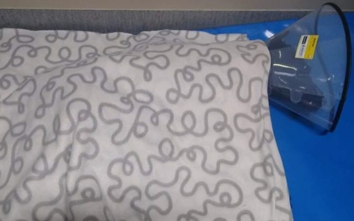 Zbiórka Na spłatę operacji psiaka Maxia - zdjęcie główne