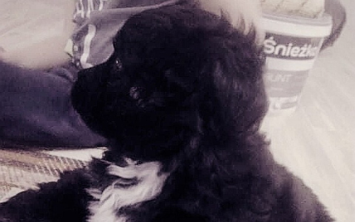 Zbiórka Pomóżmy młodemu BINGO - zdjęcie główne