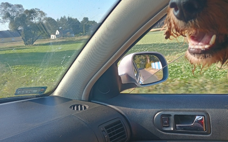 Zbiórka Żeby zacząć wszystko od nowa . - zdjęcie główne