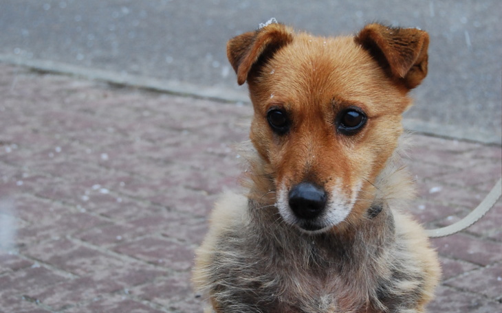 Zbiórka Coby przetrwać zimę - zdjęcie główne