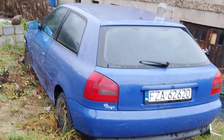 Niebieski samochód zaparkowany na trawie, w tle budynki.