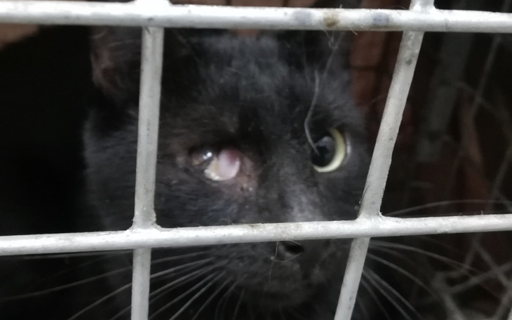 Zbiórka To już koniec pomocy bezdomnym - zdjęcie główne