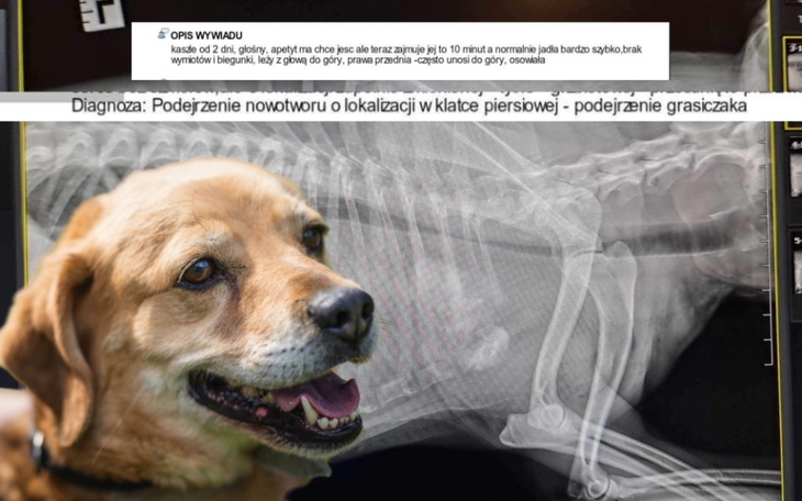 Zbiórka Rezonans dający szansę na życie - zdjęcie główne