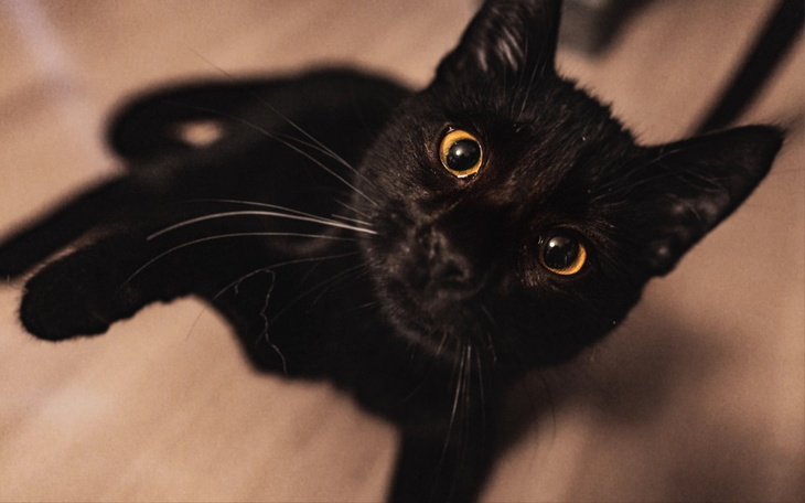 Zbiórka Ratujmy Armina - Pokonać Chorobę - zdjęcie główne