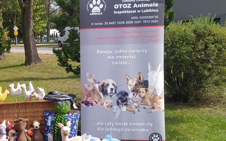 Zbiórka Na otozowe gadżety, m.in roll up - zdjęcie główne