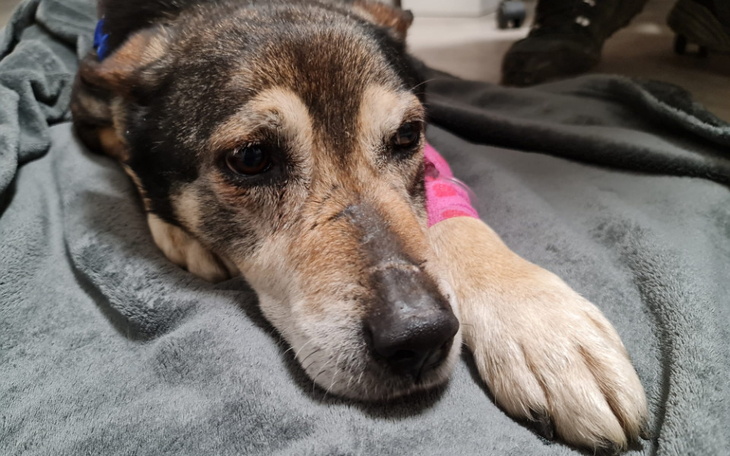 Zbiórka Decyzja, która go prawie zabiła - zdjęcie główne