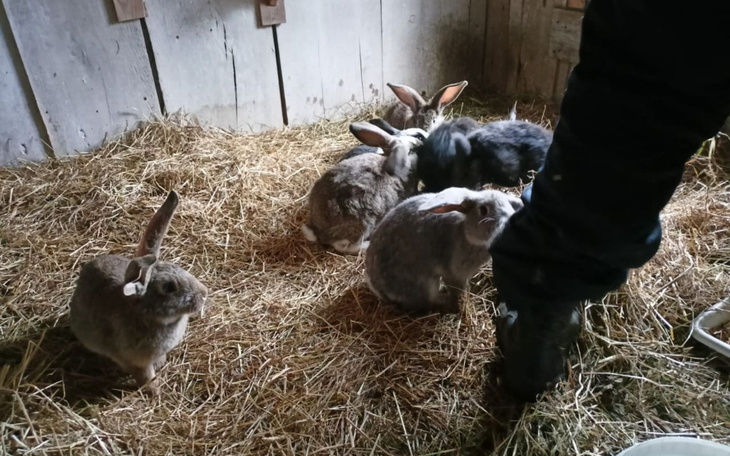 Zbiórka Rekordowy początek roku - zdjęcie główne