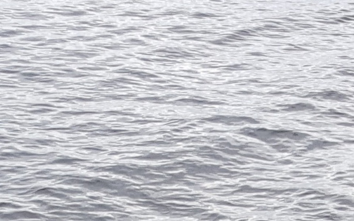 Zbiórka pierwsze wakacje z coreczka - zdjęcie główne