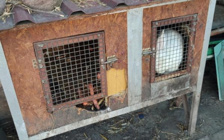 Zbliżenie na nogę osoby z opatrunkiem na kolanie.