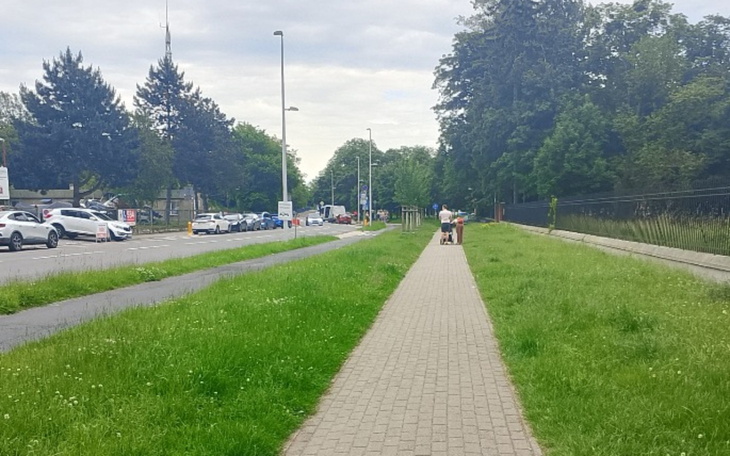 Spacerowa alejka z ludźmi i zielenią po bokach.