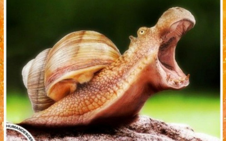 Zbiórka Rozwijam kanał - zdjęcie główne