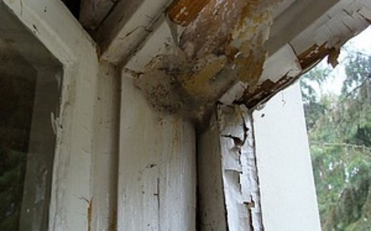 Zbiórka Wymiana okien/remont mieszkania - zdjęcie główne