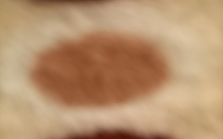 Zbiórka Chciałbym założyć schronisko - zdjęcie główne