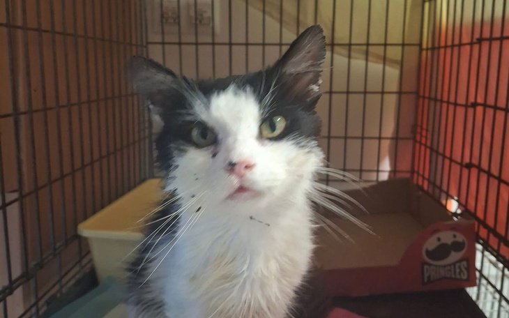 Zniszczony budynek po pożarze z uszkodzoną konstrukcją.