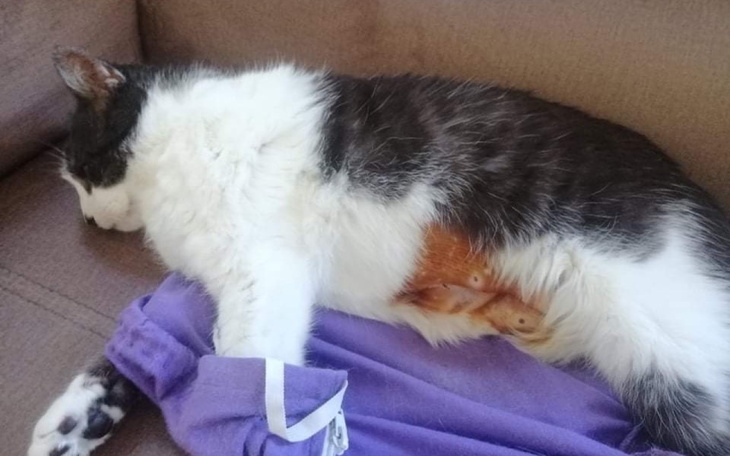 Zbiórka Waleczny Filemonek - zdjęcie główne