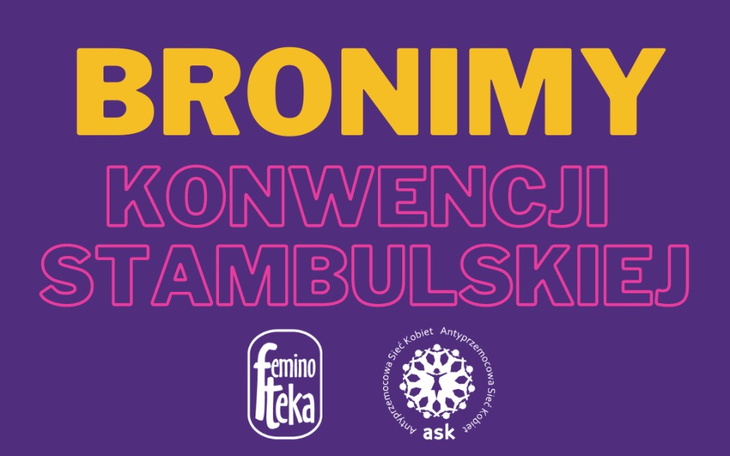Zbiórka Bronimy Konwencji Stambulskiej - zdjęcie główne