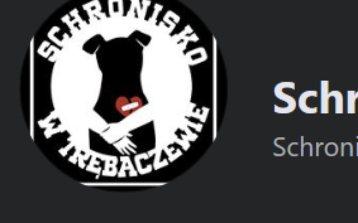 Zbiórka Na schronisko w Trębaczewie - zdjęcie główne