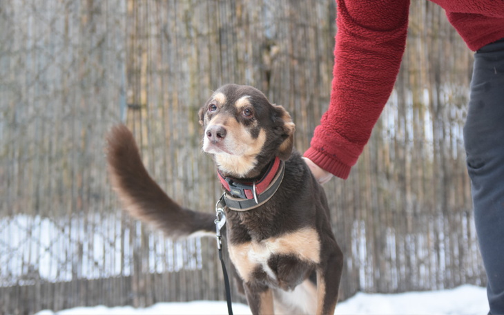 Zbiórka Trzeba było pozwolić jej umrzeć - zdjęcie główne