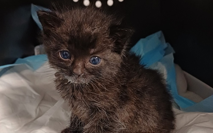 Zbiórka Faktury ciągnące nas na dno - zdjęcie główne