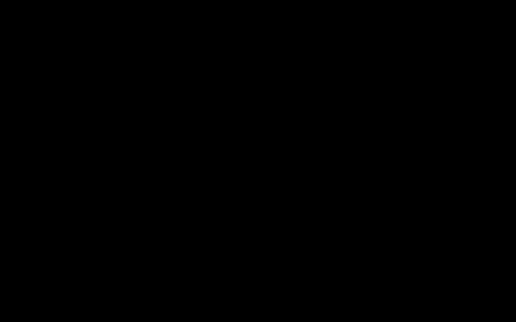 Zbiórka pieski ze schroniska - zdjęcie główne