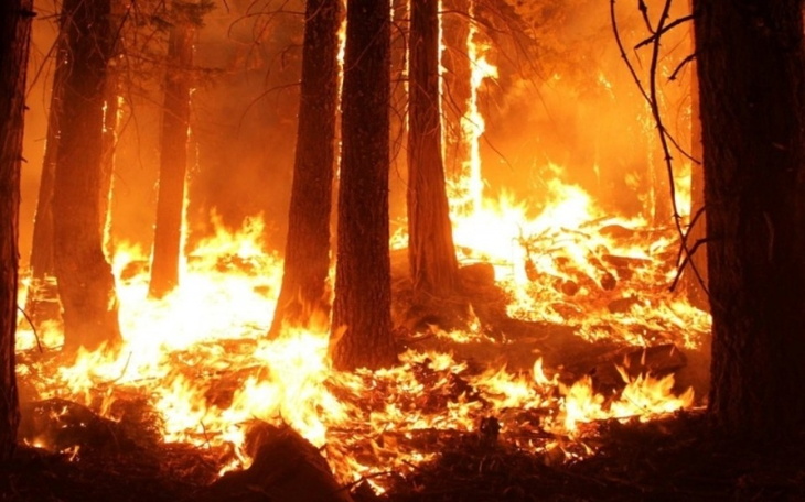 Zbiórka Dla rodziny która straciła wszys - zdjęcie główne