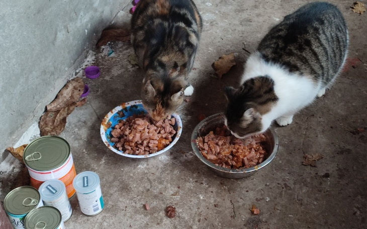 Zbiórka By nie martwić się o jutro - zdjęcie główne