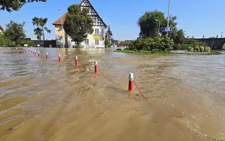 Zbiórka Pomoc dla Lewina Brzeskiego - zdjęcie główne